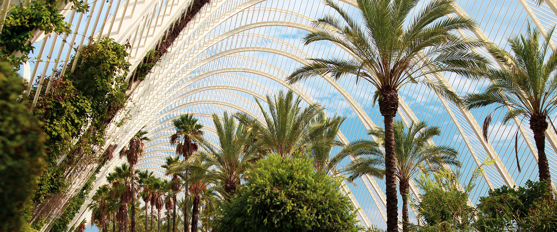 Ascencia Valencia